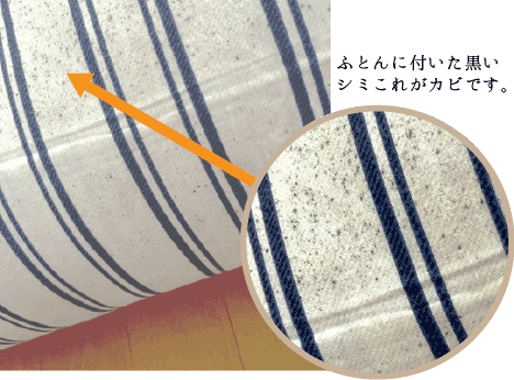 激取りMAX大判シート