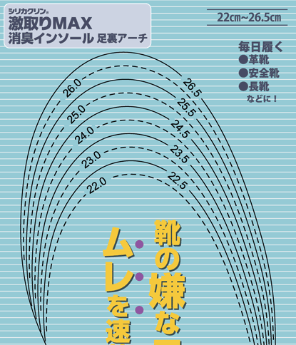 激取りMAX消臭インソール足裏アーチ説明