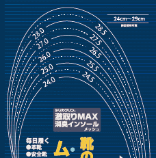 激取りMAX消臭インソールメッシュ説明