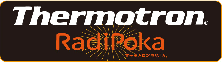 激取りMAXホットインソール